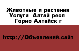 Животные и растения Услуги. Алтай респ.,Горно-Алтайск г.